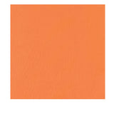 Solid Color Bandana
